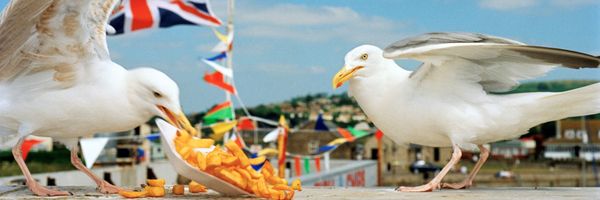 I Am Martin Parr